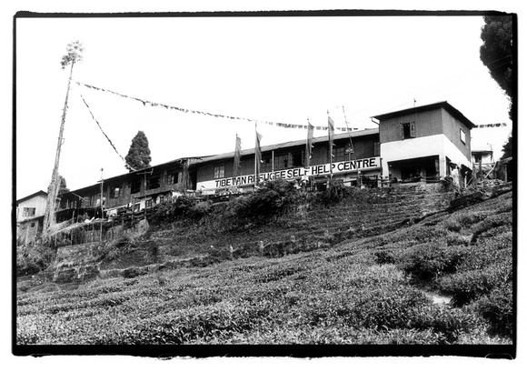 Tibetan Refugee Center, Darjeeling.